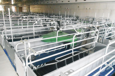 Farrowing cage GGD Model