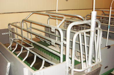 Farrowing cage GYD Model